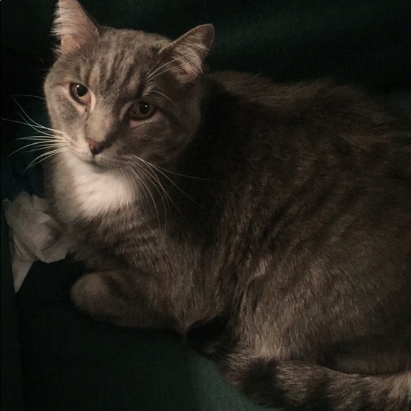 Meet Your Posher, Cindy - Picture 4 of 6